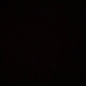 Meet your Posher, Fereshta